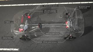 Animation: Audi RS 3 – RS torque splitter