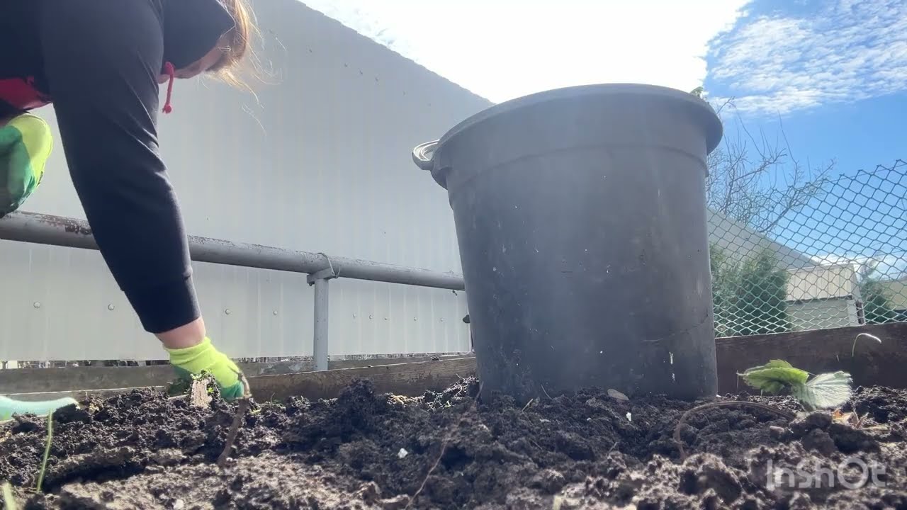 Дела на участке. Грядки, новый заборчик. Что у нас растет🌱🪾