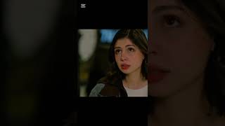 Muhtemel Aşk Için... Şacakbudeniz Ilgan Şanlı