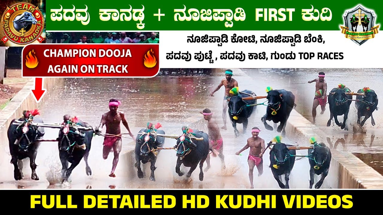 ಪದವು ಕಾನಡ್ಕ & ನೂಜಿಪ್ಪಾಡಿ FIRST  ಕುದಿ | CHAMPION DOOJA AGAIN ON TRACK |  FULL DETAILED HD VIDEOS