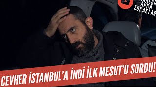 Cevher İstanbul'a İndi İlk MESUT'U SORDU! 319.  Resimi