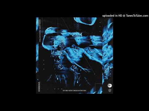 Martin Garrix x R3HAB & Skytech - Voodoo (Intro Edit DragonMusix)