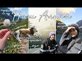 Влог I Путешествие на Алтай на машине I Подьем на ледник, жизнь в горах, коровы и красивые виды ⛰️