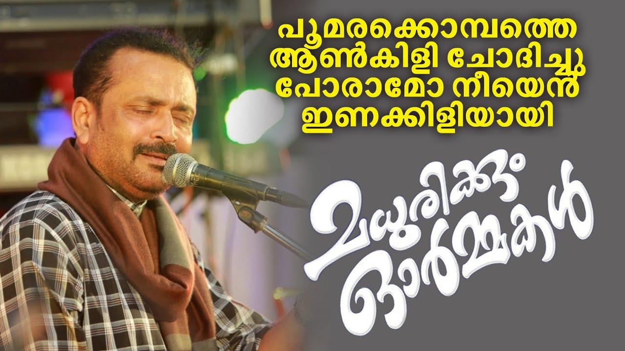 Poomarakombathe | പൂമരക്കൊമ്പത്തെ | ഒരുമുഖം മാത്രം | Umbayee | Pradeep Ashtamichira | Gasal