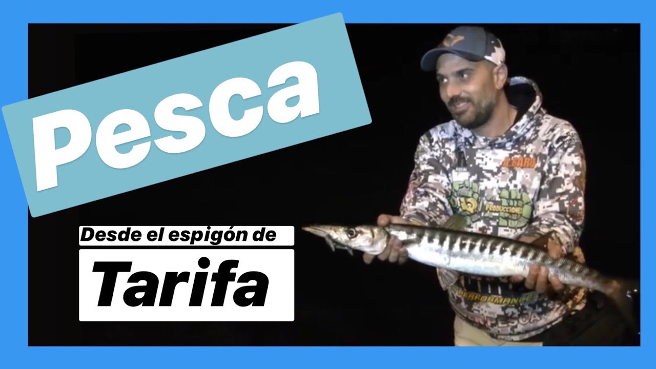 Desde el Espigón de Tarifa