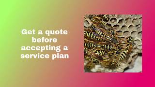 Pest Control Cedar City-- What do you need to know before hiring a pest control company