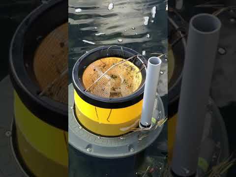 Seabin At Work At Wye Heritage Marina On Georgian Bay 