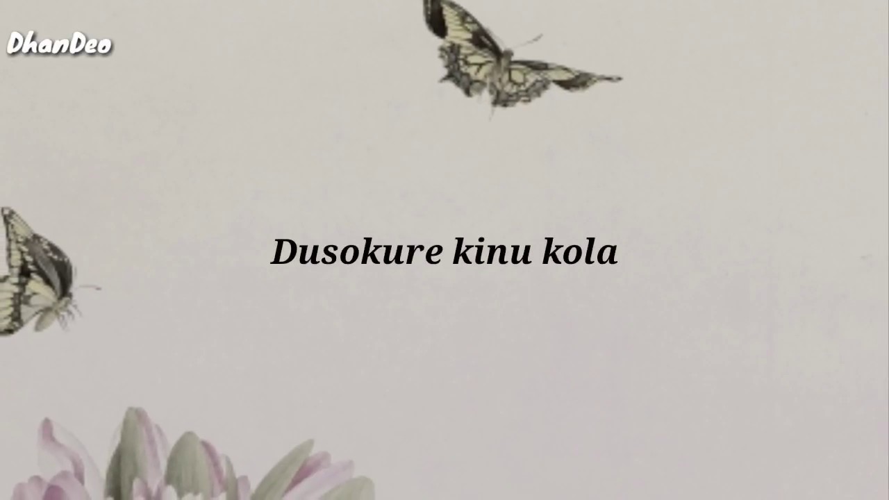 Dusokure kinu kola lyrics by Neel Akash  Ritrisha