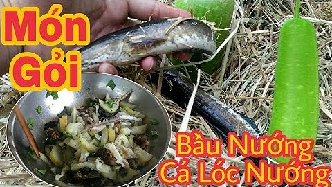 Món Bầu Nướng Cá Lóc Làm Gỏi Thơm Ngon Tuyệt Vời