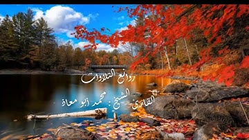 روائع التلاوات ... القارئ الشيخ محمد ابو معاذ