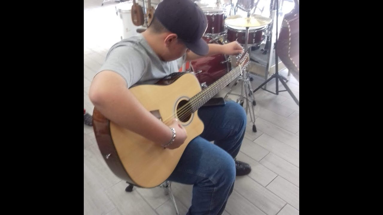 ▷ Guitarras de Doce Cuerdas de las mejores marcas JMT, FENDER Etc. (5)