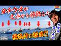大魔神2026春【タチウオ横浜沖へ前編】テンヤ&ルアーで挑む【金沢八景・太田屋】