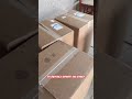 The Only Fangs Blu-rays and DVDs have arrived!