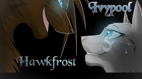 Ivypool and Hawkfrost TRIBUTE - Criminal