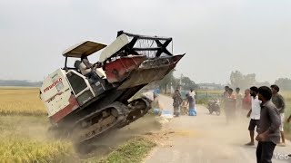 Shocking Harvester Accident While Climbing the Road 🚜😱 | Rice Harvest Gone Wrong