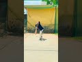 Cricket Batting Challenge 🏏🔥 | Power Hitting &amp; Timing Drills | #Shorts | Pramod KBDFit