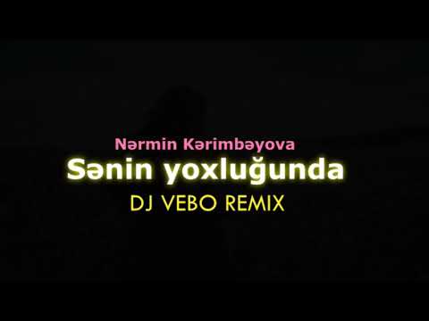 Nərmin Kərimbəyova - Sənin yoxluğunda (Dj Vebo Remix)