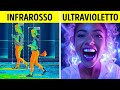 E Se Potessimo Vedere i Raggi Infrarossi e Ultravioletti?