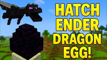 How to hatch End Dragon Egg Tutorial (Better Minecraft)