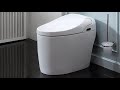 FS2002 Fontana Floor Mounted Automatic Toilet Flush Smart Intelligent Toilet