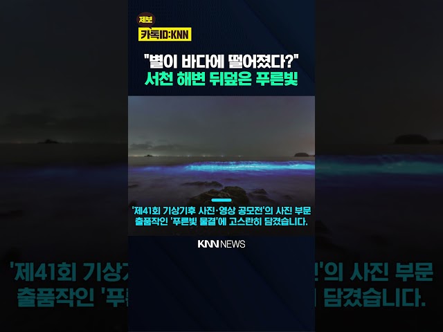 "바다에 은하수가?" 국내서 포착된 푸른빛 / KNN