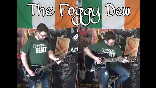 Derek Warfield & The Young Wolfe Tones - The Foggy Dew (guitar & bouzouki cover)
