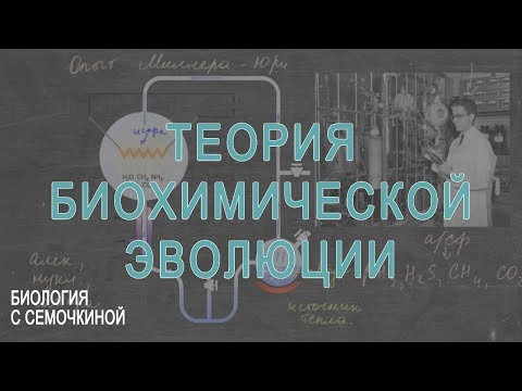 Теория биохимической эволюции