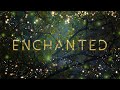 Audiomachine curated collection  enchanted