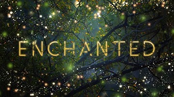 Thumbnail of Audiomachine Curated Collection - Enchanted