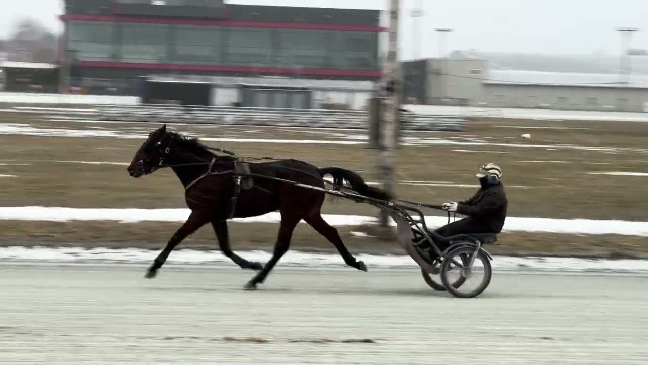 JOHNNY - January 11th, 2026