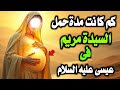 The Secret Of The Virgin Mary S Pregnancy How Many Months Was She Pregnant With Jesus The Secret Of The Virgin Mary S Pregnancy How Many Months Was She Pregnant With Jesus