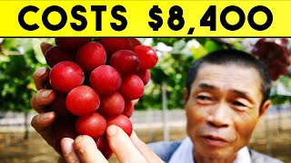 10 Most Expensive Fruits In The World screenshot 5