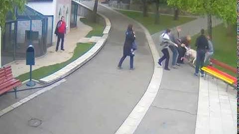 Napad vuka na devojčicu u Beo Zoo vrtu