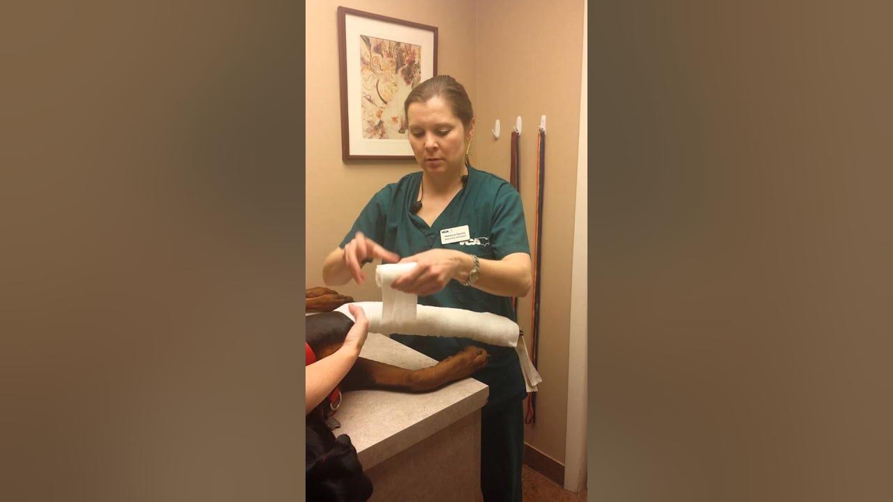 Skill14 Part 1 Modified Robert Jones Bandage YouTube