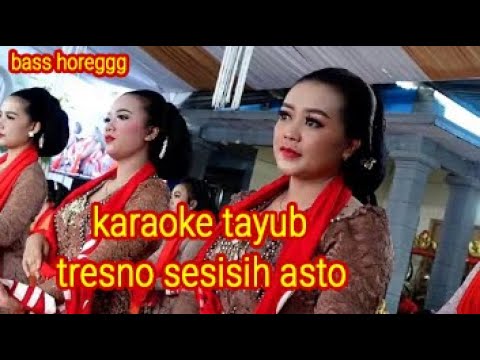 KARAOKE - TAYUB - TRESNO SESISIH ASTO | TRENDING AUDIO JERNIH | BAS NENDANG