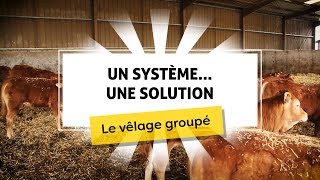Un Système...une Solution - Vêlages Groupés