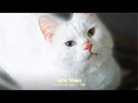 STANDING EGG - 너를 (Lyric Video)