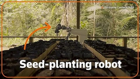 How a robot may help conserve the Amazon rainforest