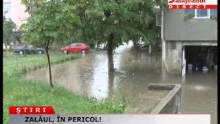 Zalăul, În Pericol