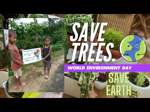 World Environment day || Save trees || Thankful