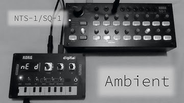 2021-11-21 ambient - KORG NTS-1/SQ-1