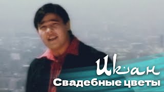 IKAN - Cвадебные цветы