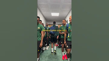 Mamelodi Sundowns Waendelea Kufurahia Ushindi Wao Vs Yanga 
