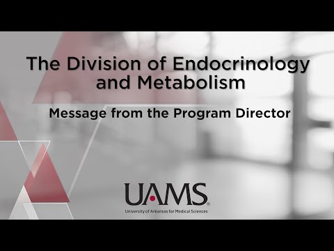 Message from the Endocrinology Program Director