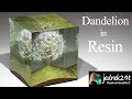 Dandelion in Resin / ART RESIN