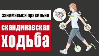 Что дает скандинавская ходьба и как правильно ходить