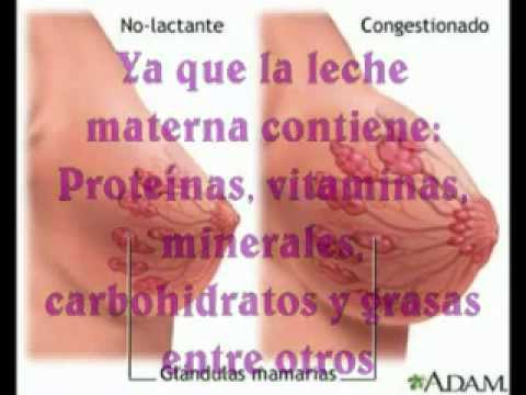 Vote no on : extraccion manual de leche maternamp4