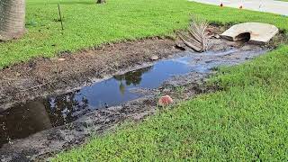 St. Lucie County Program Can Help Residents Replace Driveway Culverts