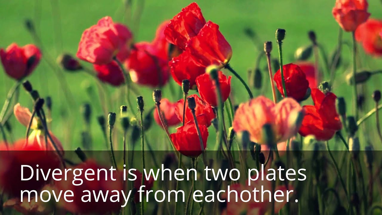 Plate Boundary's by Jacob Belcher and Young chip