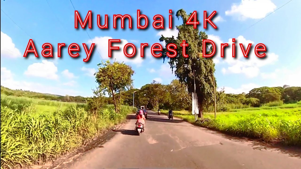 Mumbai 4K | Driving Tour AAREY FOREST | Aarey Milk Colony | India